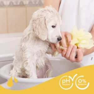 19997_Ecommerce_Basic-Shampoo-Pu (5)