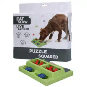 Eat Slow Live Longer Puzzle Squared – Een vierkante interactieve Level 2 snackpuzzel voor hersenwerk bij doodles.