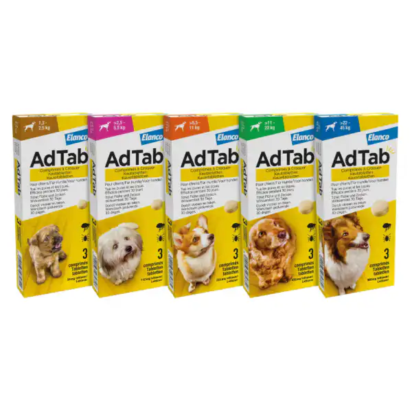 AdTab kauwtablet hond lotilaner vlooien teken bescherming maandelijks alle gewichtsklassen vrij van voorschrift
