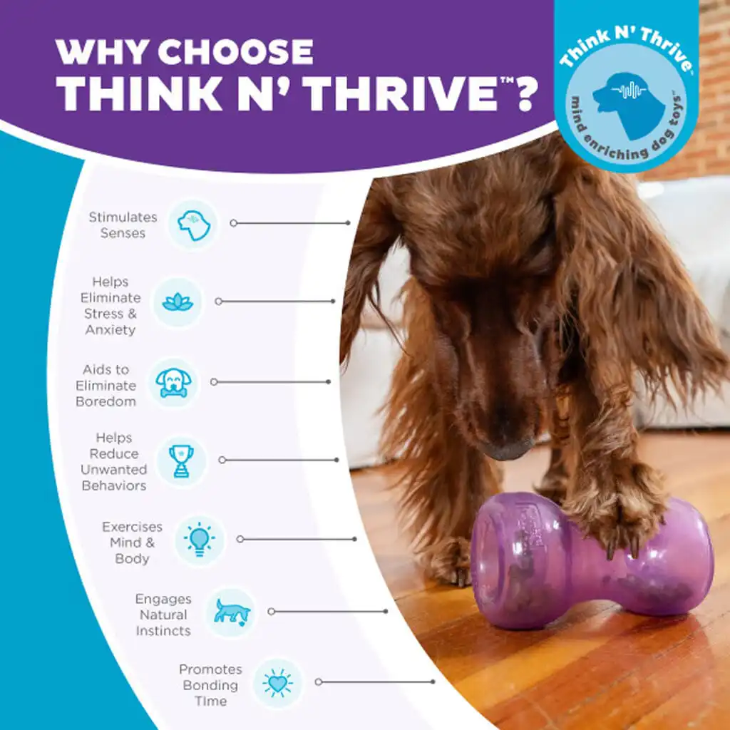 Outward Hound Double Snoop Paars – Interactieve Voerpuzzel - Afbeelding 2