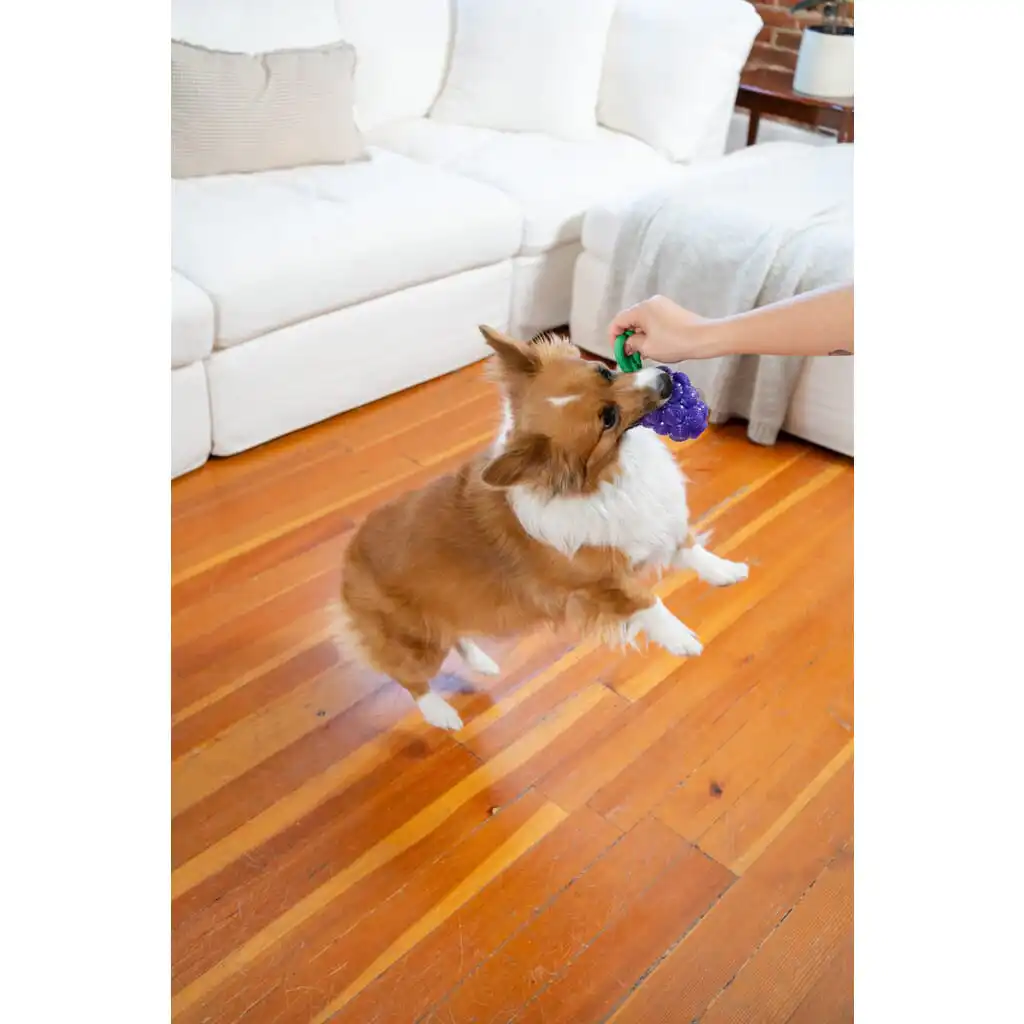 Outward Hound Dental Grapes – Tandverzorgend Hondenspeeltje - Afbeelding 7