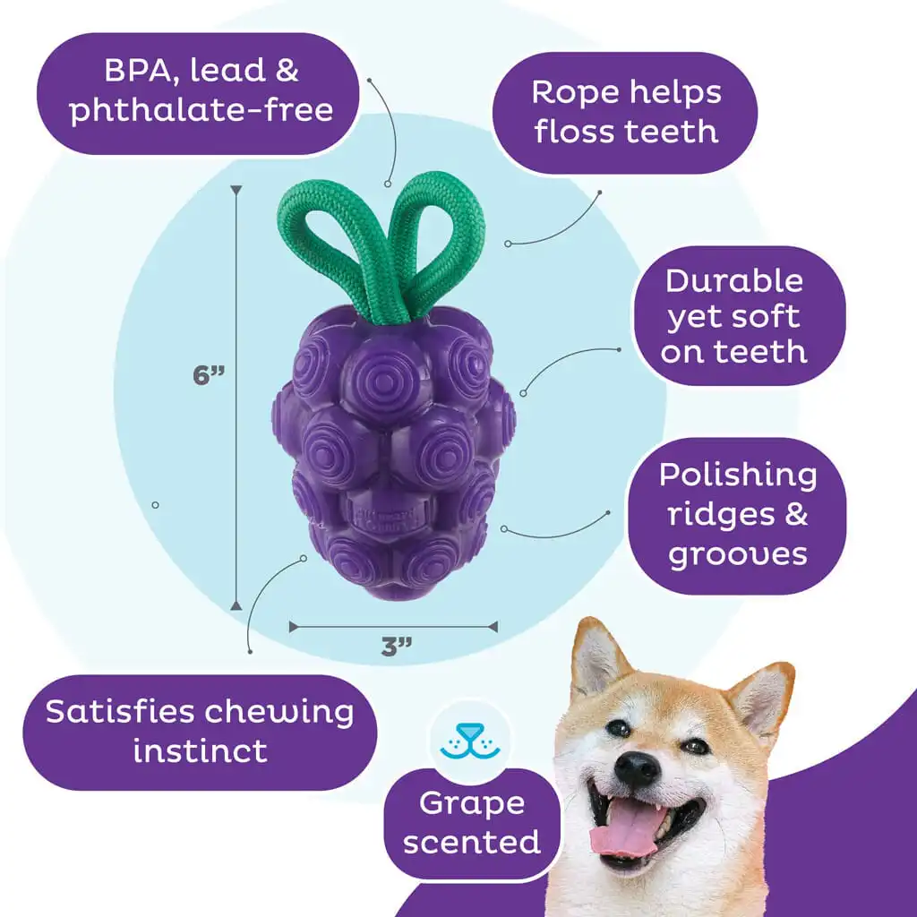 Outward Hound Dental Grapes – Tandverzorgend Hondenspeeltje - Afbeelding 2