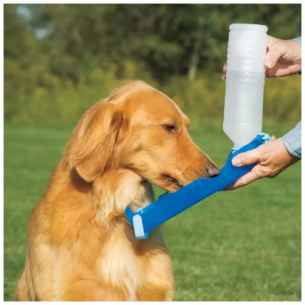 Pawise Travel Bottle 500 ml – Drinkfles voor Onderweg - Afbeelding 2