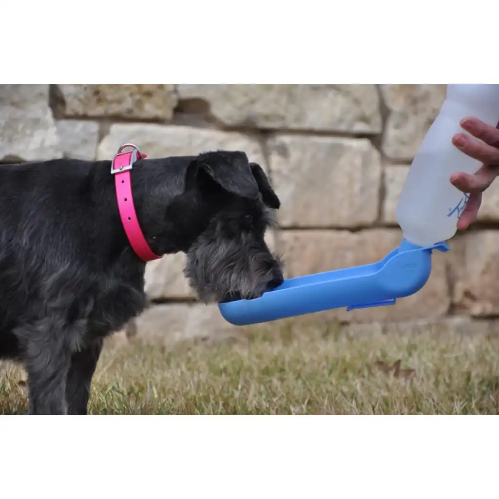 Pawise Travel Bottle 500 ml – Drinkfles voor Onderweg - Afbeelding 3