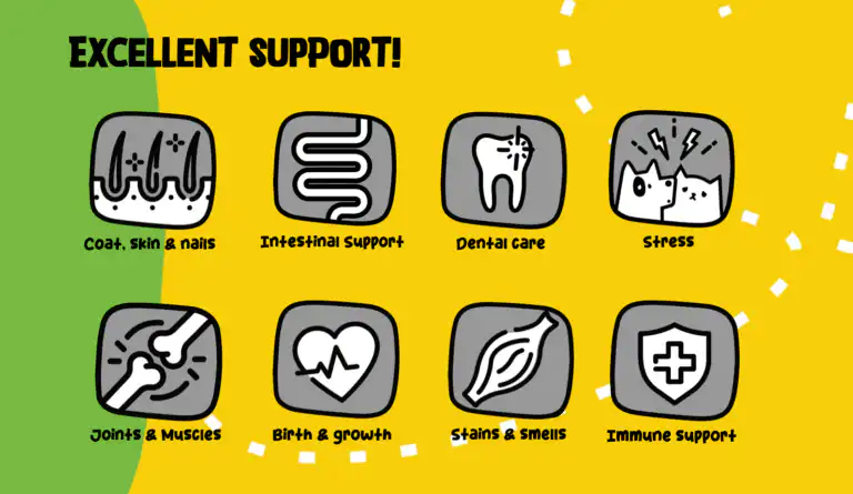 Ondersteuning van binnenuit